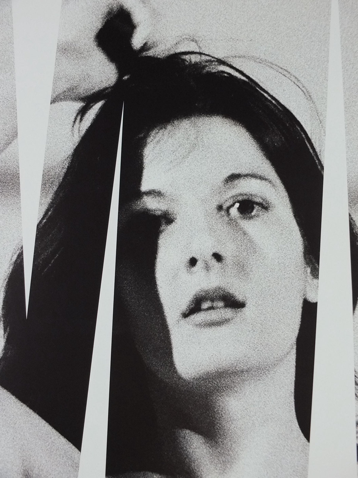 2017 Marina Abramovic Poster, The Cleaner, Art must be beautiful, Artist must be beautiful 1975 Louisiana, photography, retro wall art decor