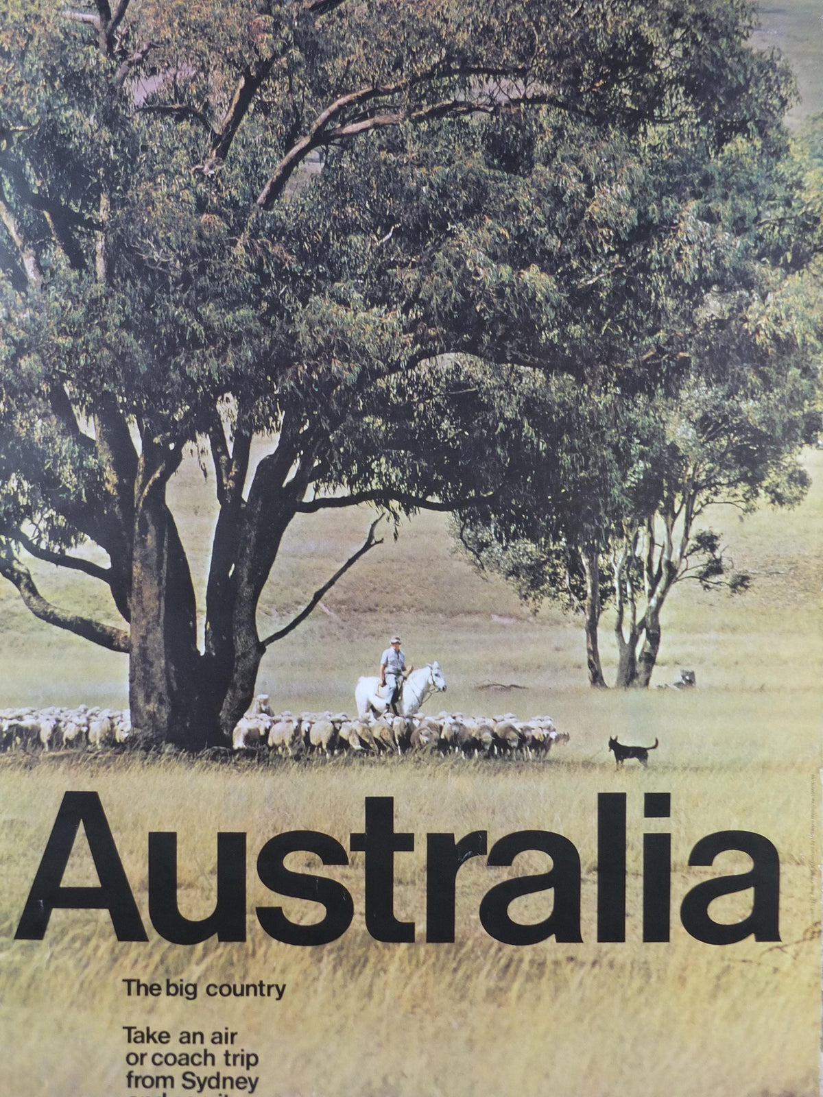 1969 Australia Outback Poster, The Big Country, Sheep farmer on horseback, yellow prairie haze, travel & tourism wall art decor