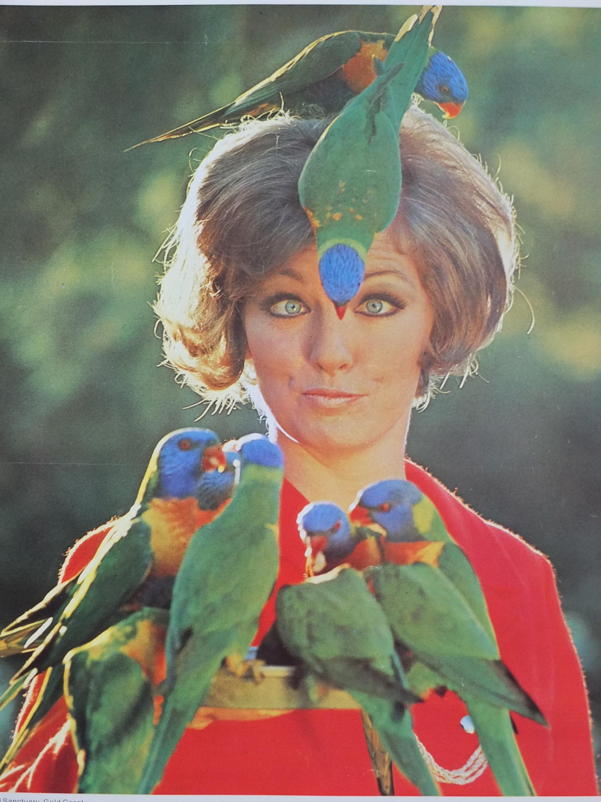 1969 Australia Currumbin Bird Sanctuary Poster, Sixties girl surrounded by colourful parrots and lorikeets, Gold Coast travel wall art decor