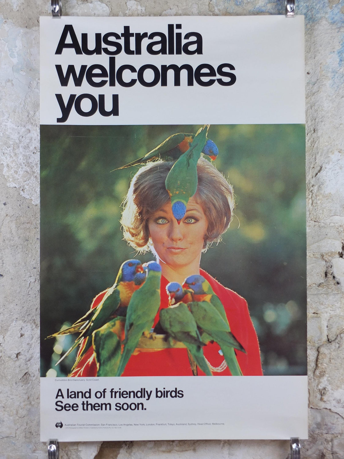 1969 Australia Currumbin Bird Sanctuary Poster, Sixties girl surrounded by colourful parrots and lorikeets, Gold Coast travel wall art decor