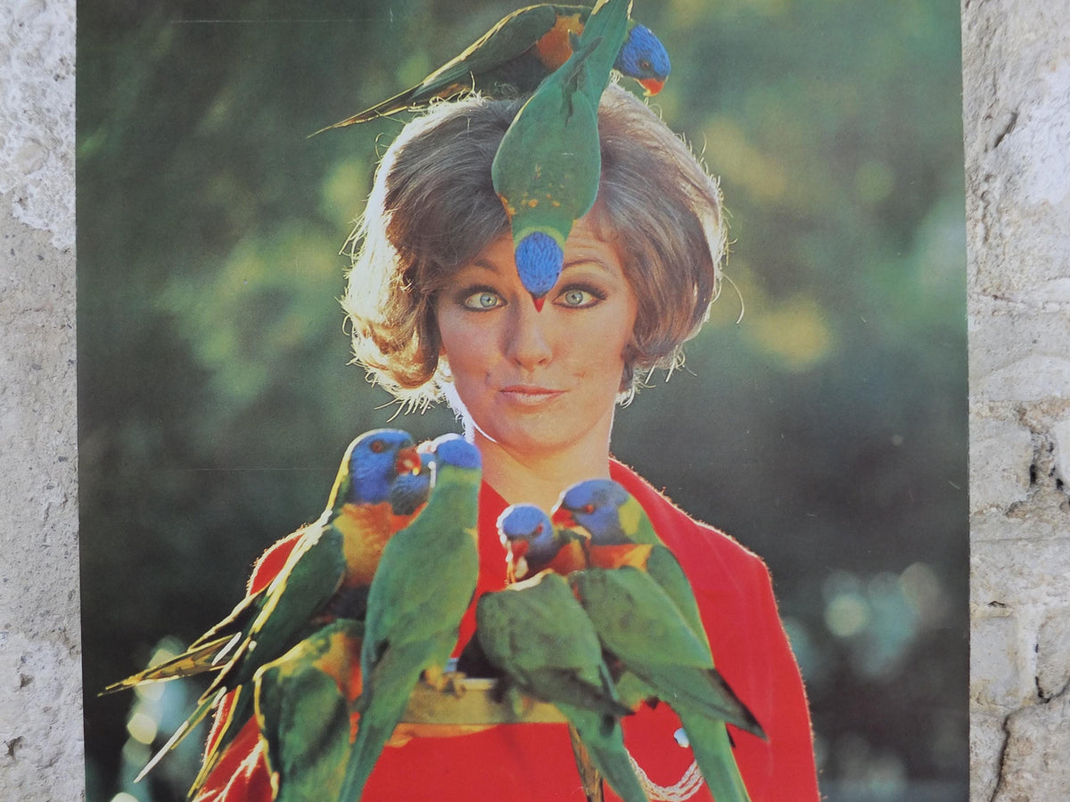 1969 Australia Currumbin Bird Sanctuary Poster, Sixties girl surrounded by colourful parrots and lorikeets, Gold Coast travel wall art decor