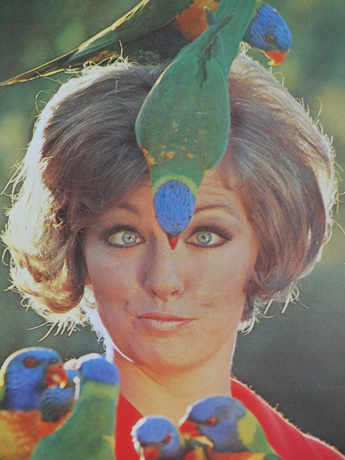 1969 Australia Currumbin Bird Sanctuary Poster, Sixties girl surrounded by colourful parrots and lorikeets, Gold Coast travel wall art decor