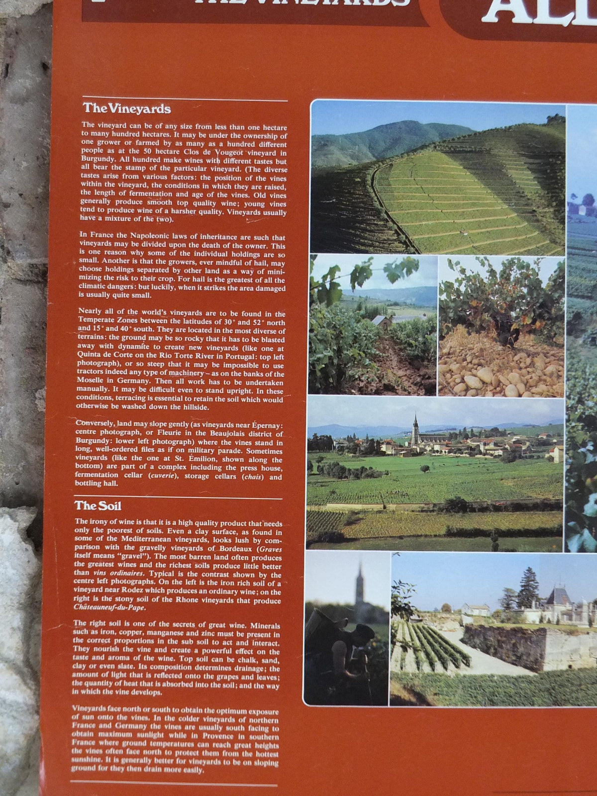 1976 All About Wine Poster, from Grants of St James, The Vineyards, The Soil, The Vine, The Viticulture, Winery, wall art decor