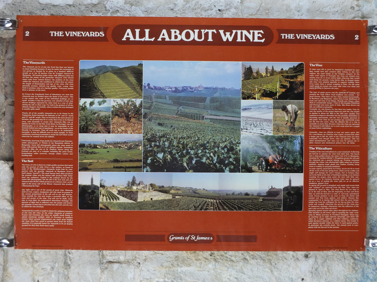 1976 All About Wine Poster, from Grants of St James, The Vineyards, The Soil, The Vine, The Viticulture, Winery, wall art decor