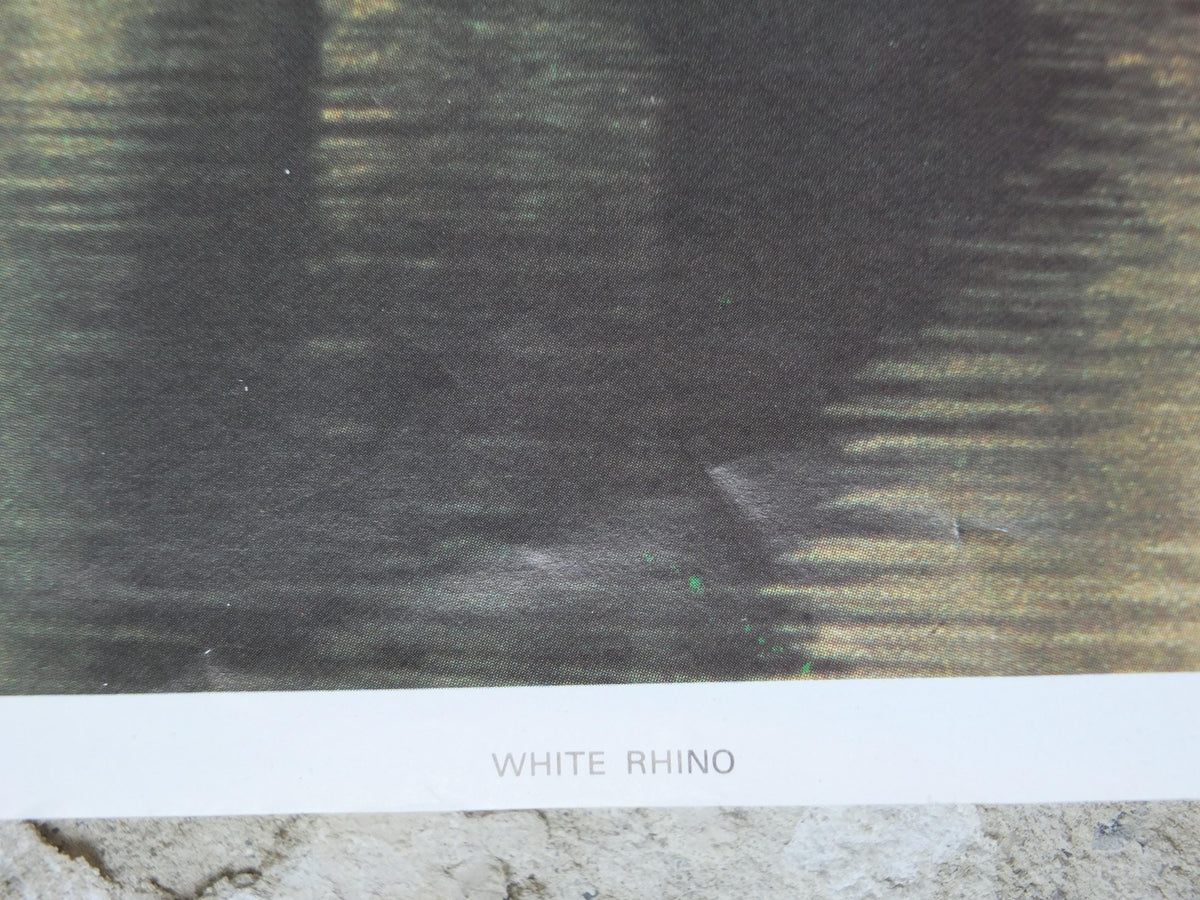 1970s White Rhino Poster, White Rhinoceros, waterhole in the African savannah, wall art decor