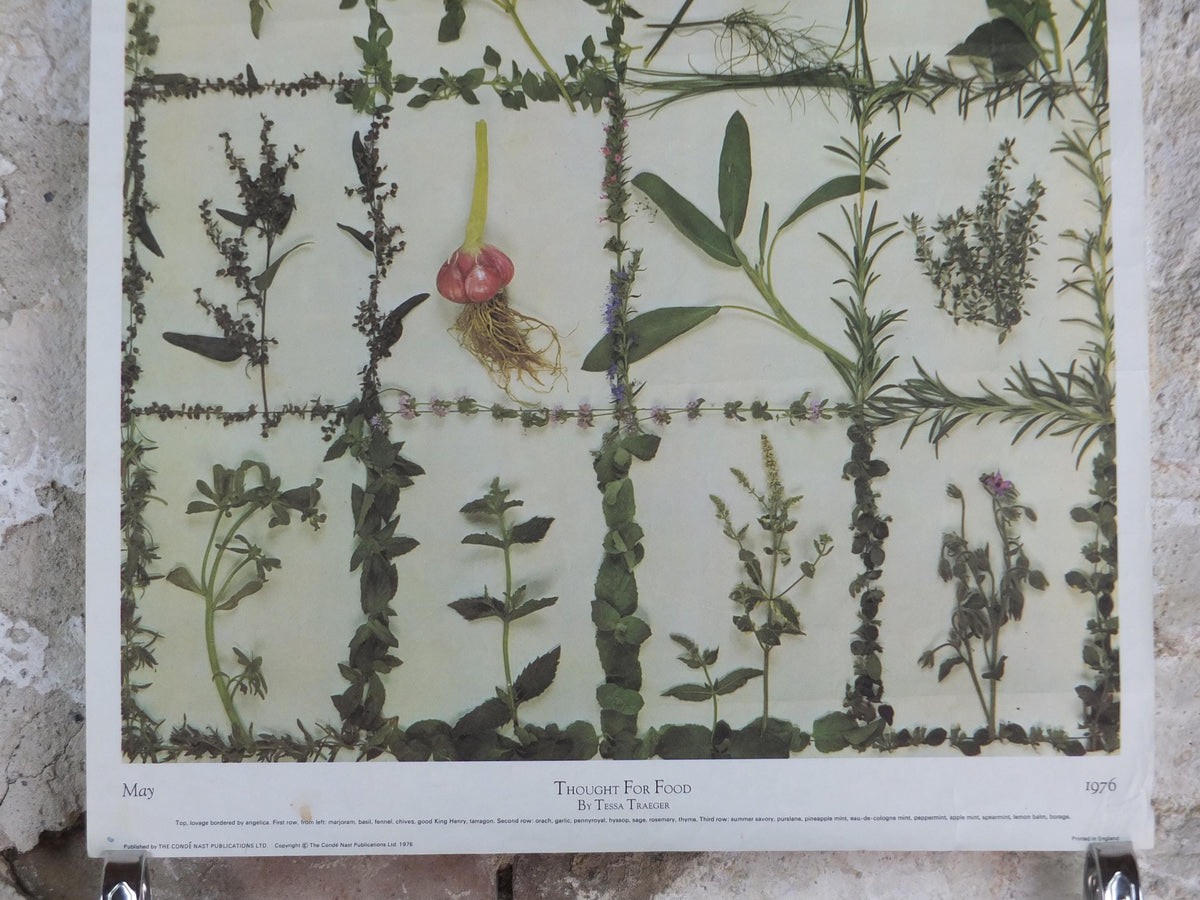 1976 Vogue Magazine Poster, by Conde nast, Thought for Food, by Tessa Traeger, Garden herbs kitchen, fashion Advertising, wall art decor