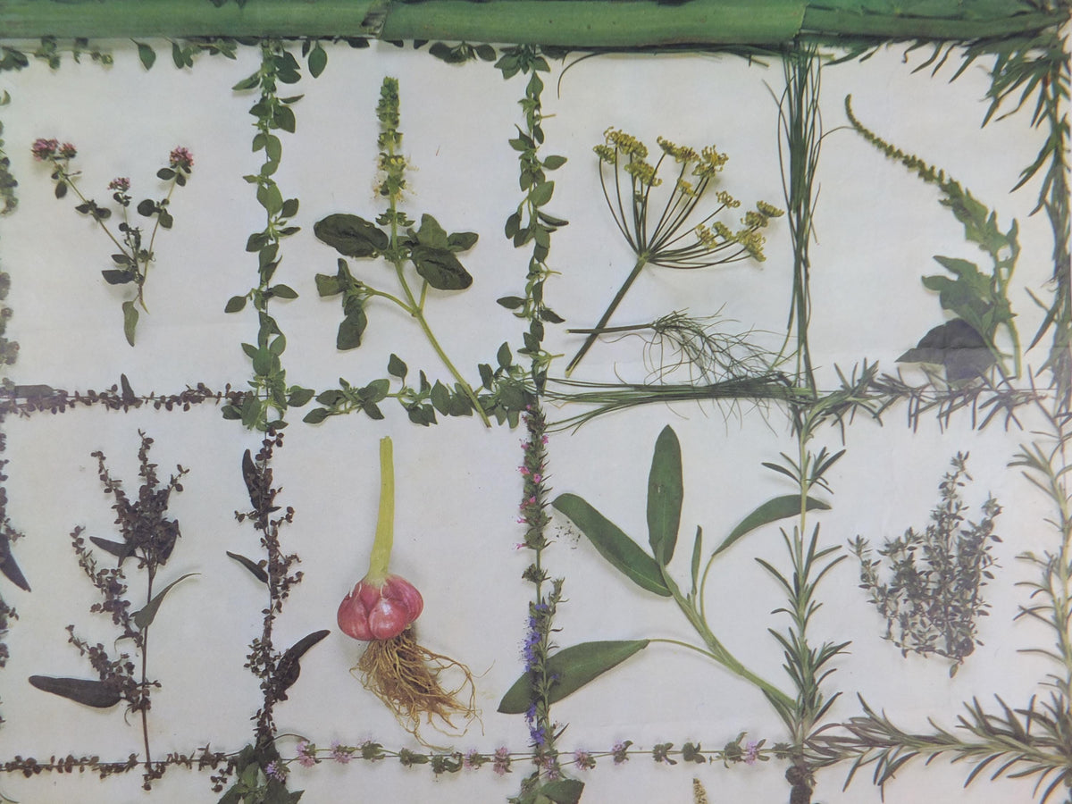 1976 Vogue Magazine Poster, by Conde nast, Thought for Food, by Tessa Traeger, Garden herbs kitchen, fashion Advertising, wall art decor