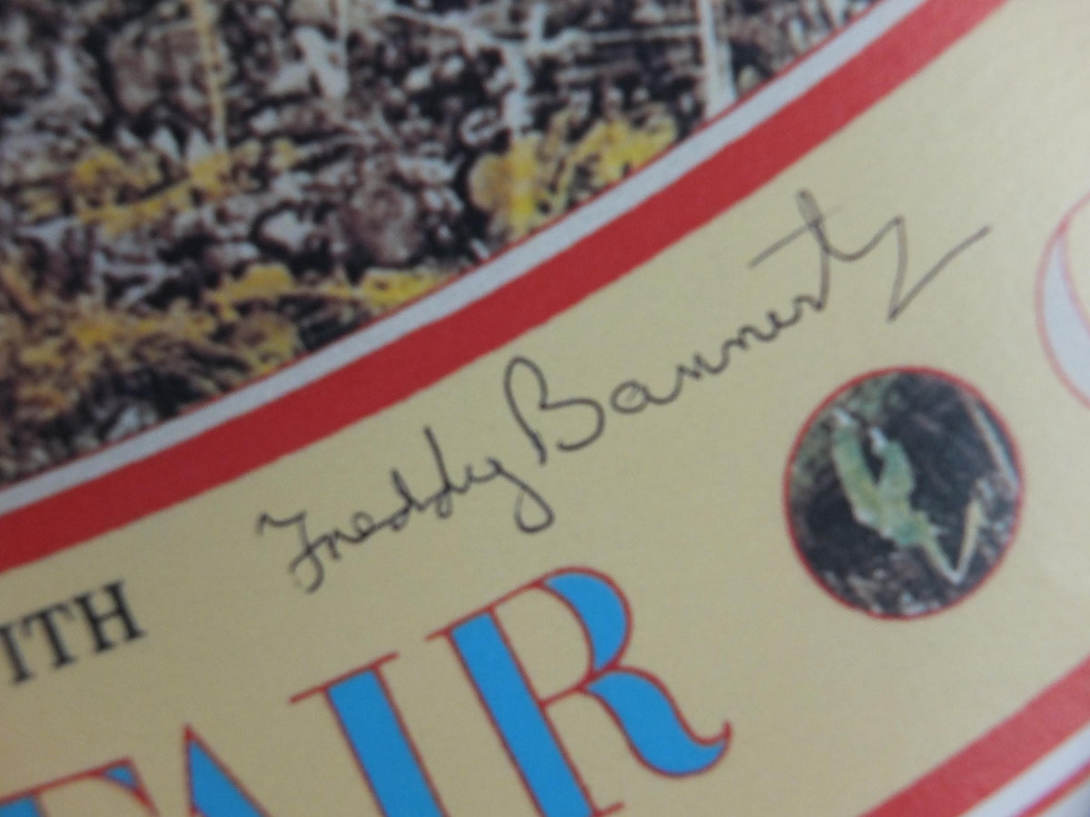 1976 Knebworth Fair Poster, Rolling Stones, Lynyrd Skynyrd, Signed by Freddy Bannister, 1999 reprint, Psychedelic rock music, wall art decor