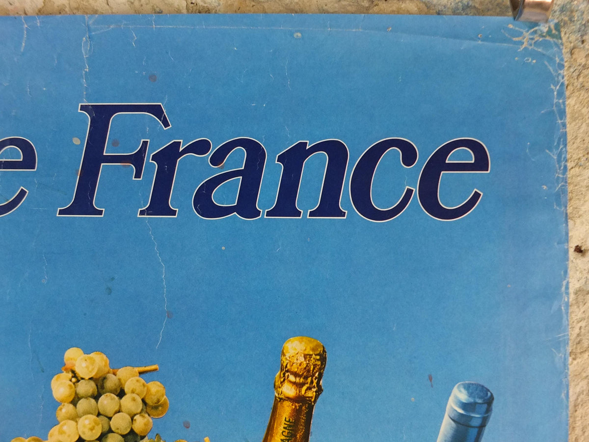 1974 Wines of France Poster, Types of French wines, Vins de France, advertising and marketing, Viticulture print wall art decor