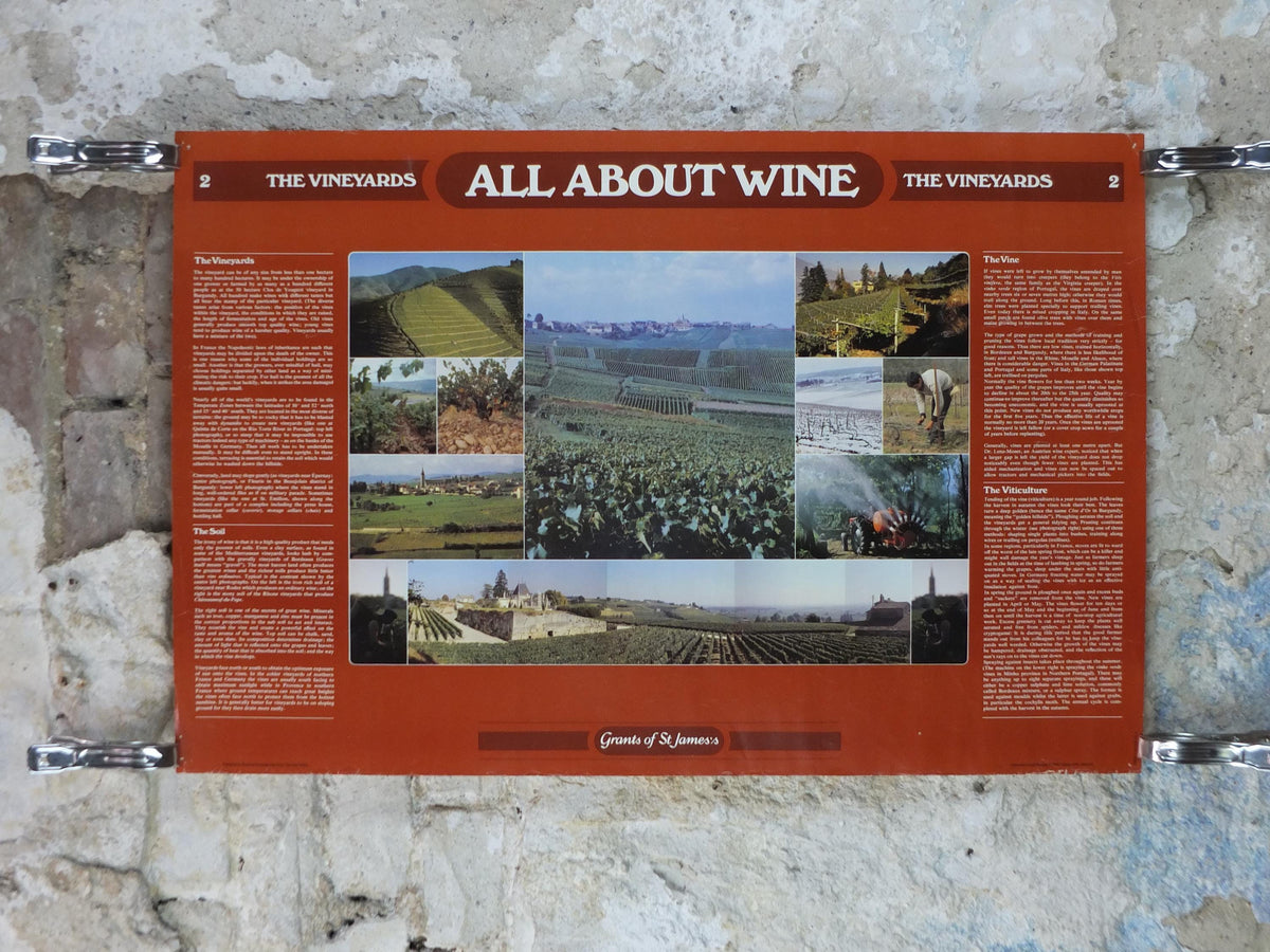1976 All About Wine Poster, from Grants of St James, The Vineyards, The Soil, The Vine, The Viticulture, Winery, wall art decor