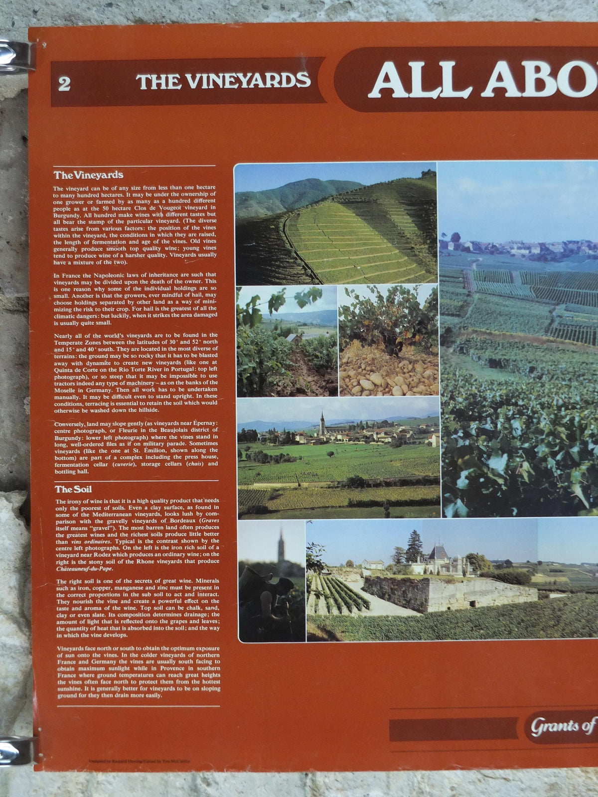 1976 All About Wine Poster, from Grants of St James, The Vineyards, The Soil, The Vine, The Viticulture, Winery, wall art decor