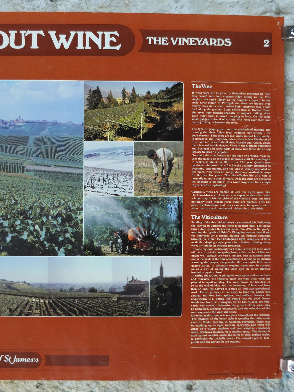1976 All About Wine Poster, from Grants of St James, The Vineyards, The Soil, The Vine, The Viticulture, Winery, wall art decor