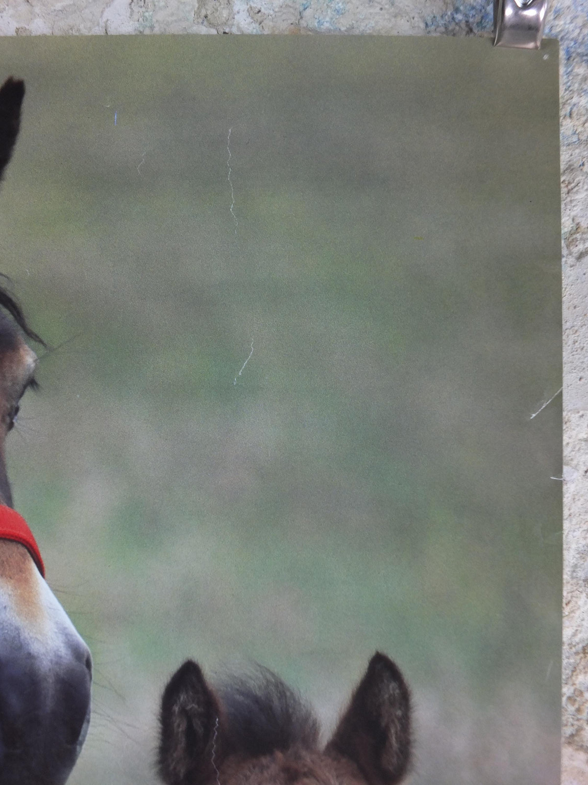1970s Exmoor Pony and Foal Poster, Exmoor National Park, horses, wall art decor