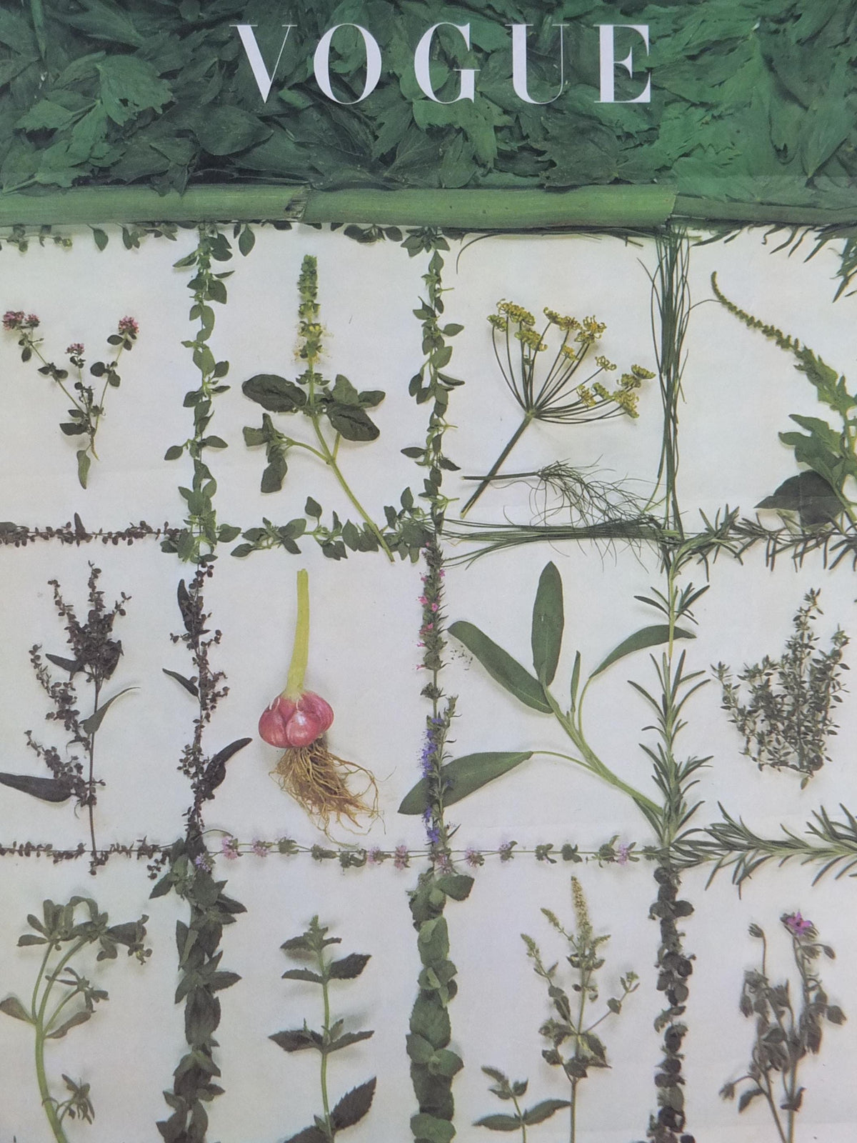 1976 Vogue Magazine Poster, by Conde nast, Thought for Food, by Tessa Traeger, Garden herbs kitchen, fashion Advertising, wall art decor