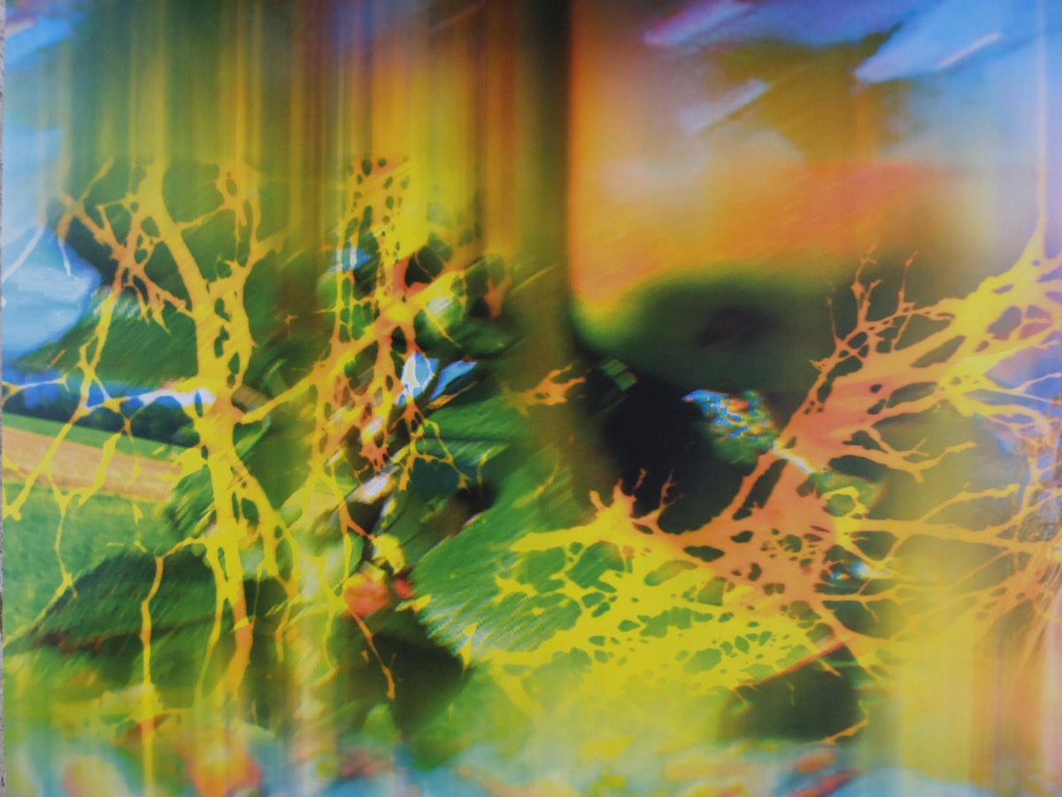 2019 Pipilotti Rist, Another Body, Lobe of the Lung Family, audio visual, Louisiana Museum of Modern Art, wall art decor