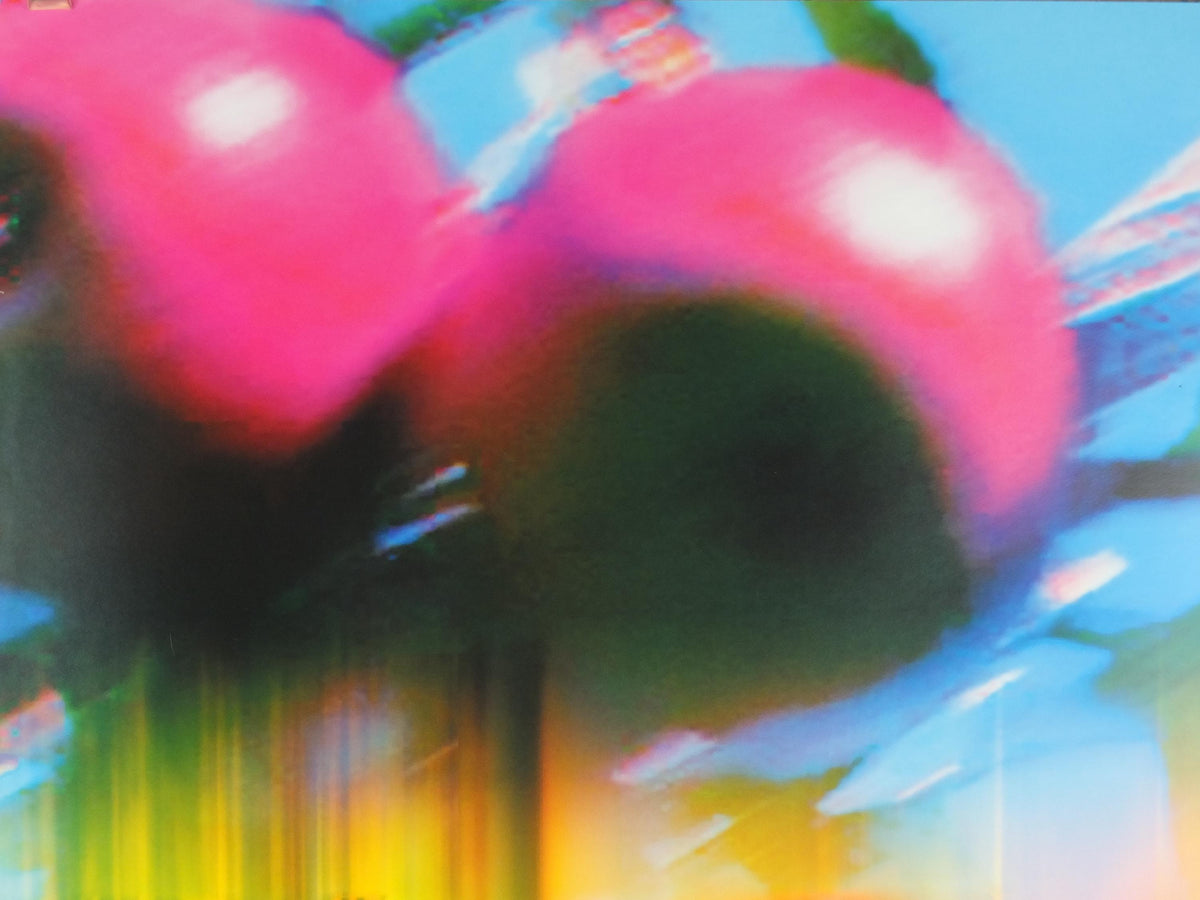 2019 Pipilotti Rist, Another Body, Lobe of the Lung Family, audio visual, Louisiana Museum of Modern Art, wall art decor