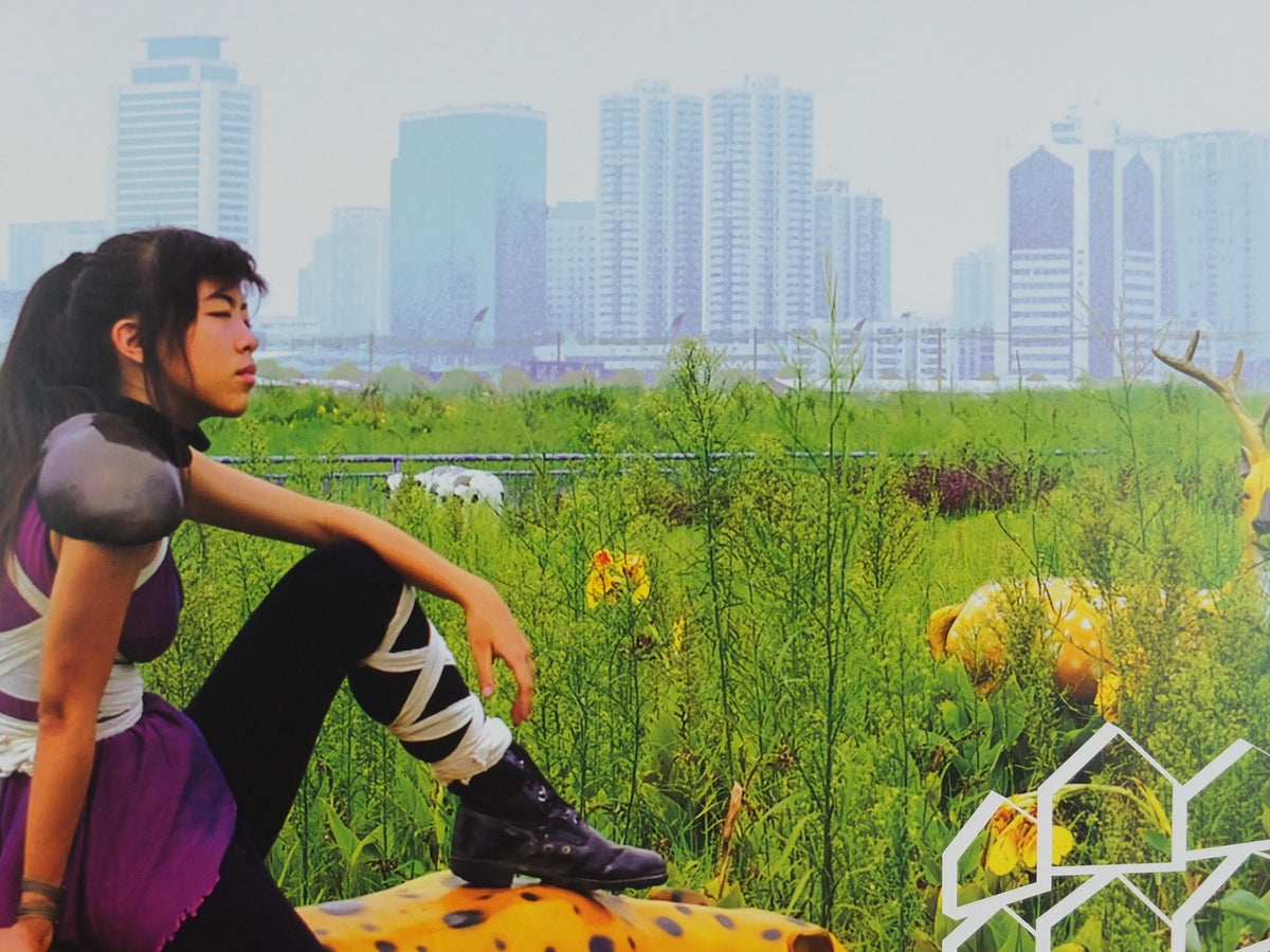 2011 Living Poster, Cao Fei, Cosplayers, Lombard Freid Projects, New York, Louisiana Museum of Modern Art, architecture, wall art decor