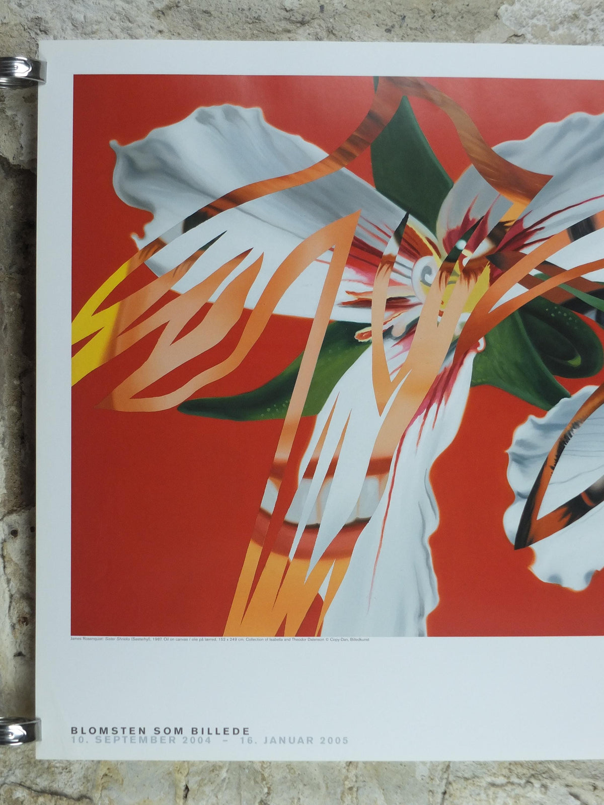 2004 James Rosenquist Poster, Sister Shrieks 1987, The Flower as a Picture, American Pop Art, gallery exhibition wall art decor