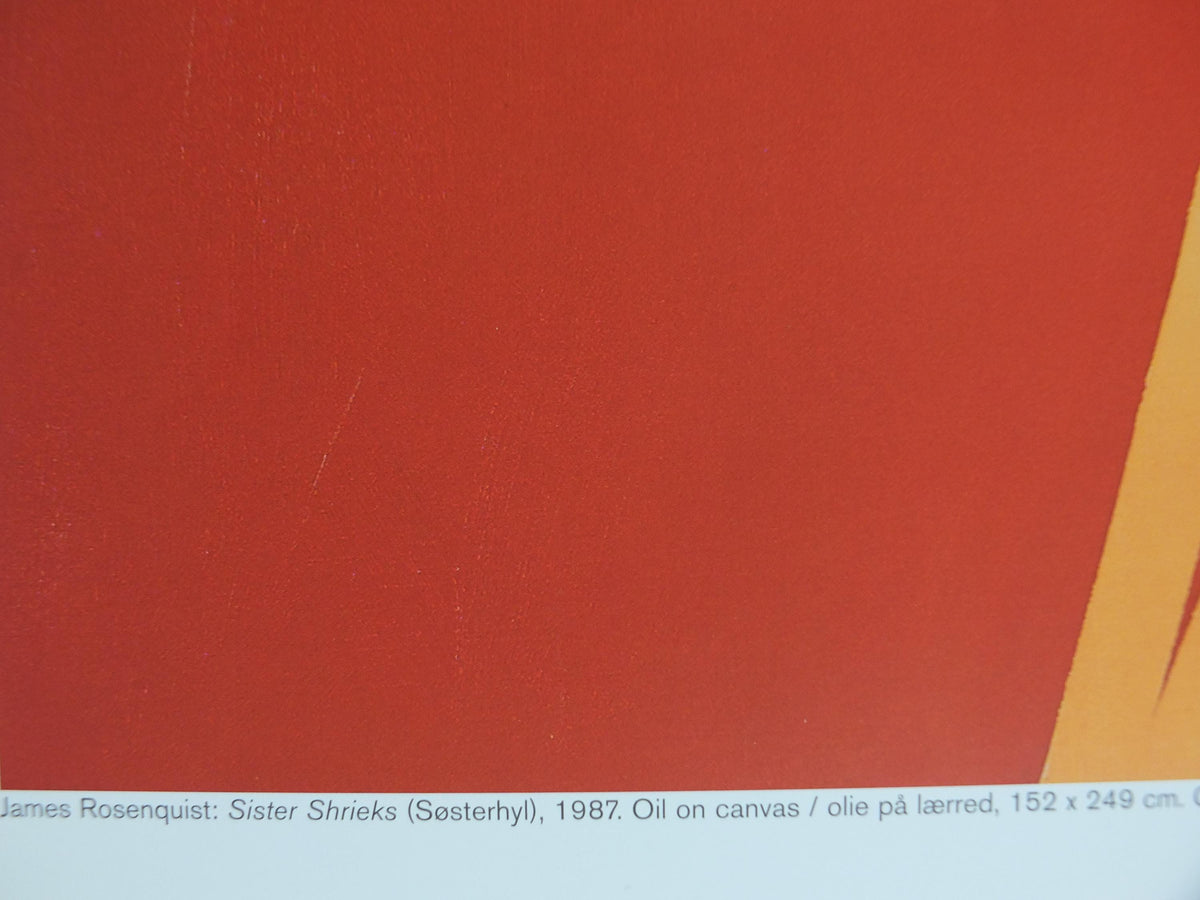 2004 James Rosenquist Poster, Sister Shrieks 1987, The Flower as a Picture, American Pop Art, gallery exhibition wall art decor