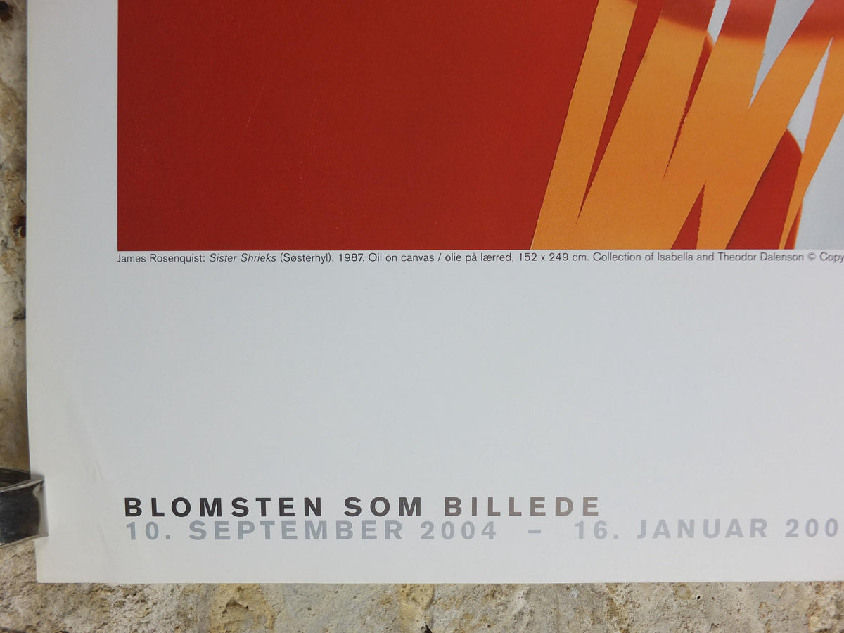 2004 James Rosenquist Poster, Sister Shrieks 1987, The Flower as a Picture, American Pop Art, gallery exhibition wall art decor