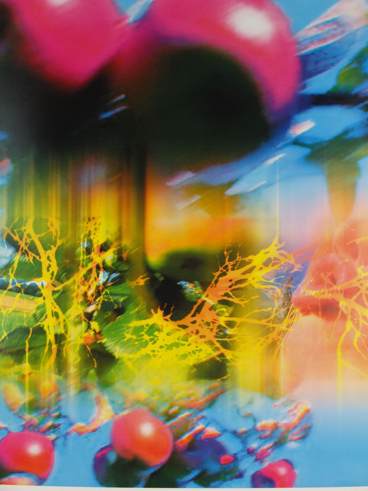 2019 Pipilotti Rist, Another Body, Lobe of the Lung Family, audio visual, Louisiana Museum of Modern Art, wall art decor