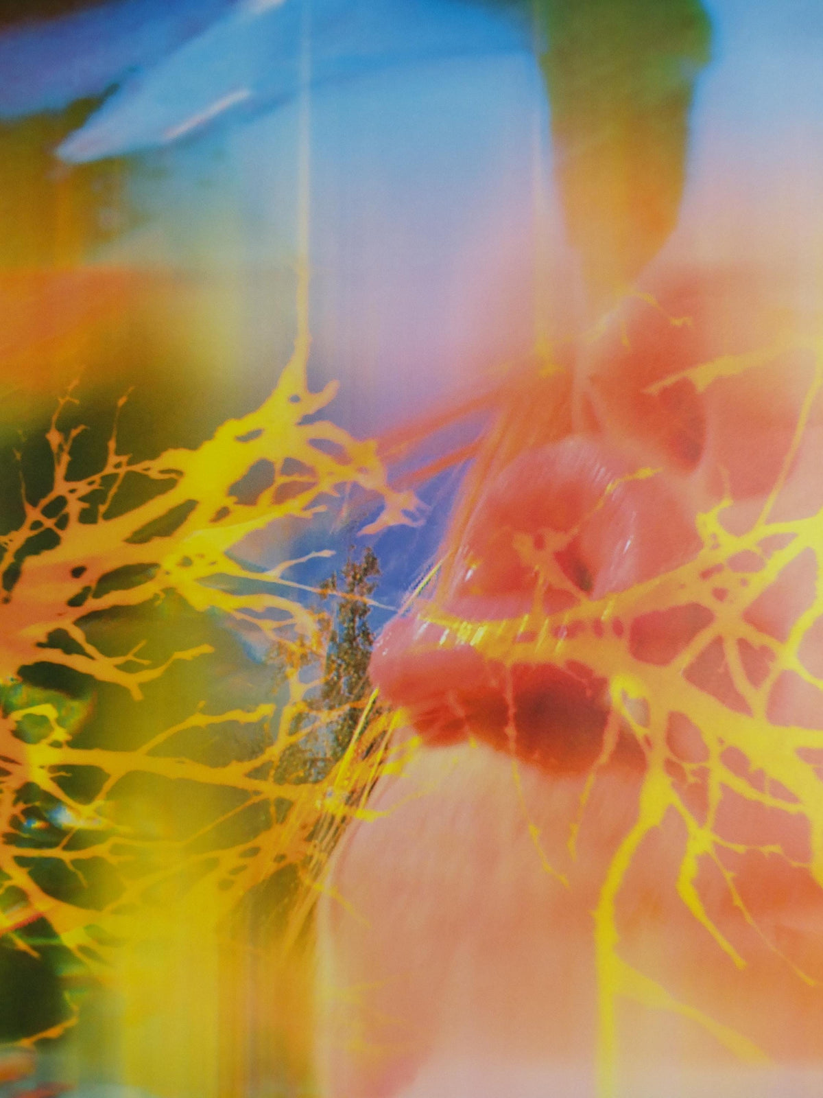 2019 Pipilotti Rist, Another Body, Lobe of the Lung Family, audio visual, Louisiana Museum of Modern Art, wall art decor