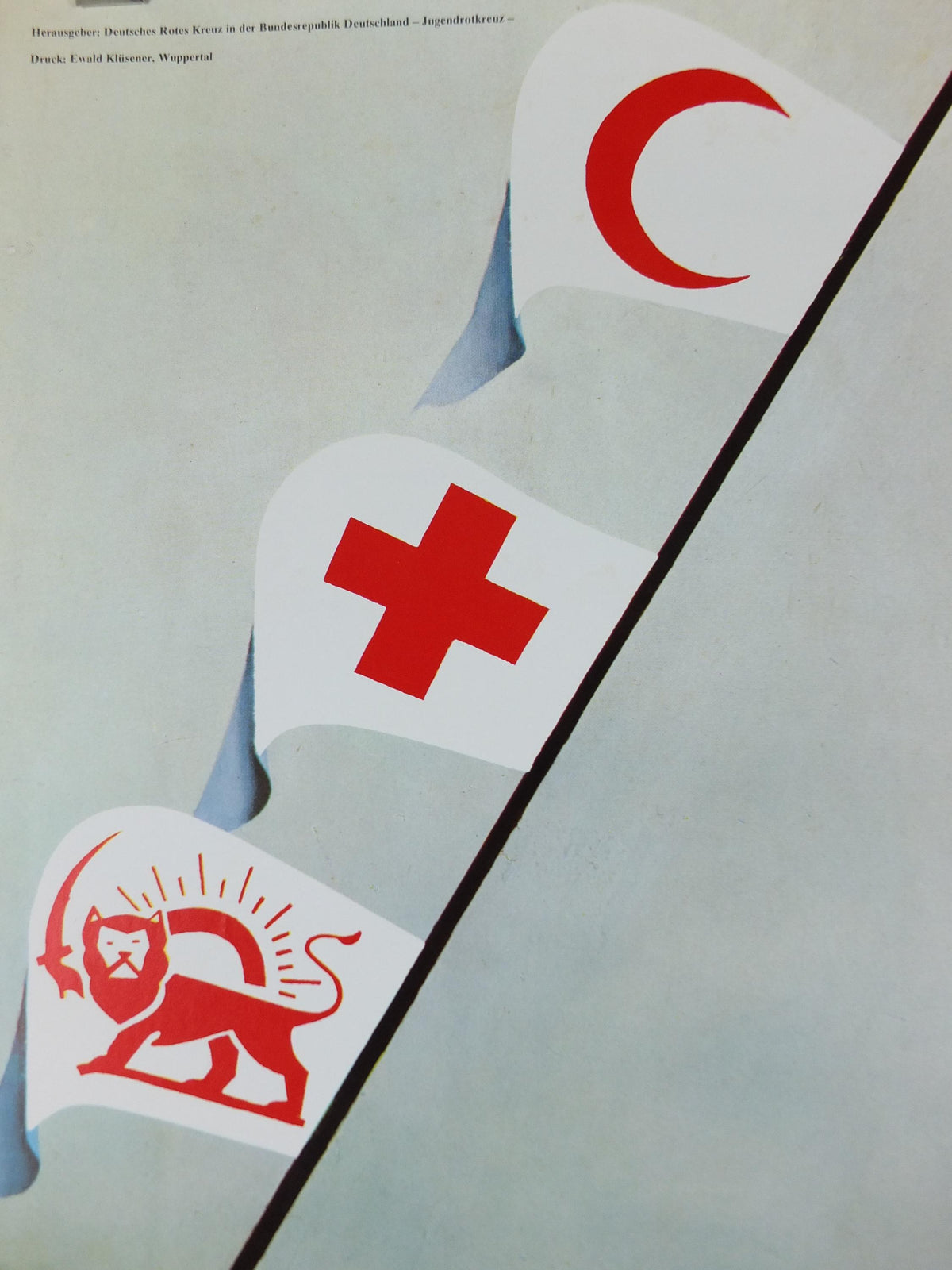 Red Cross Poster, In the same boat, International Federation of Red Cross and Red Crescent Societies (IFRC), humanitarian aid wall art decor
