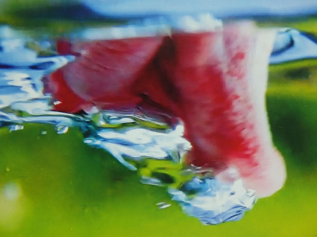 2019 Pipilotti Rist Poster, Mercy Garden Retour 2014, nose, lips and tongue, Feminist audiovisual art, gallery exhibition, wall art decor