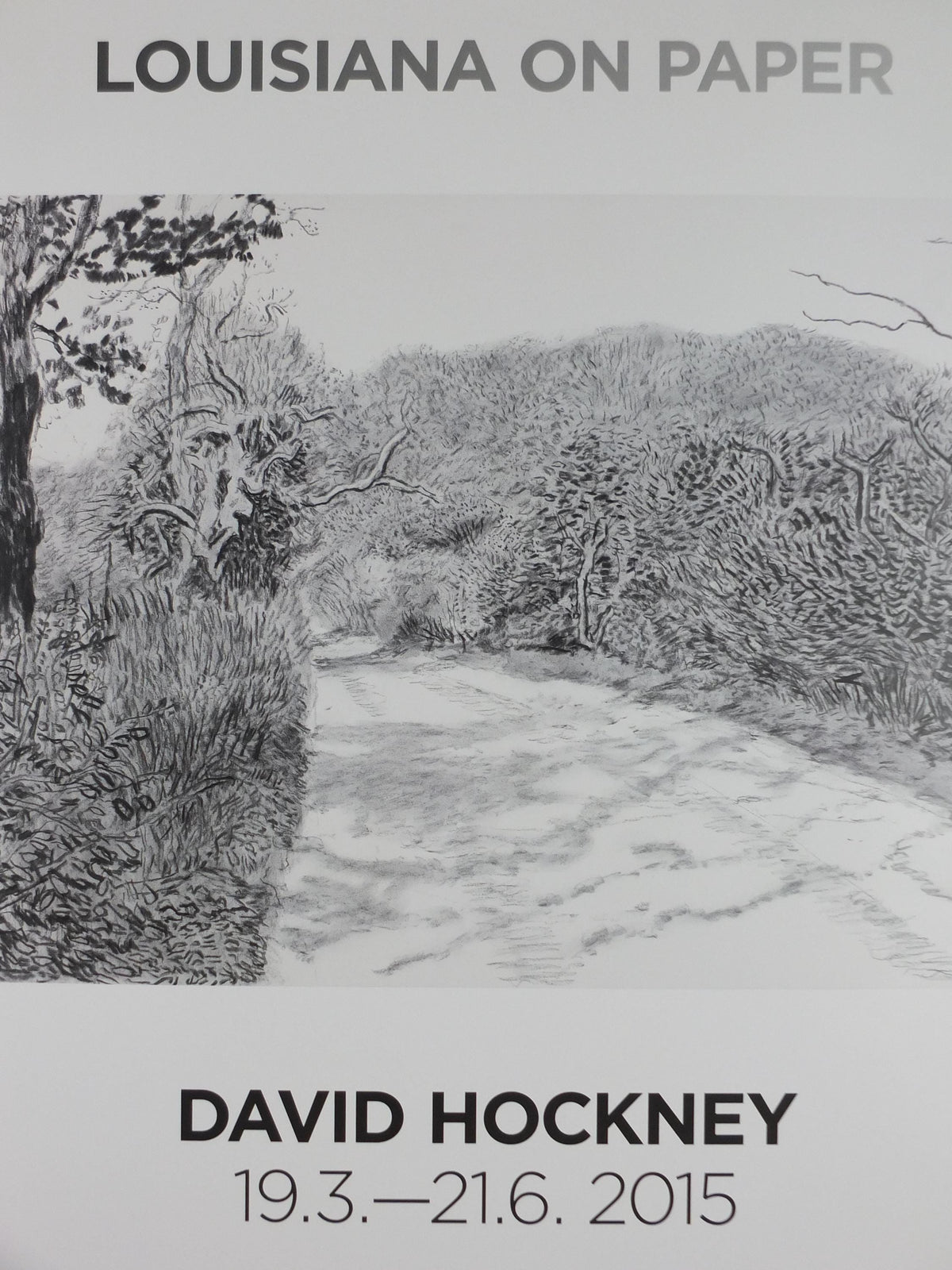 2015 David Hockney Poster, The Arrival of Spring in 2013, Louisiana Museum of Modern Art, Pop Art, gallery exhibition wall art decor