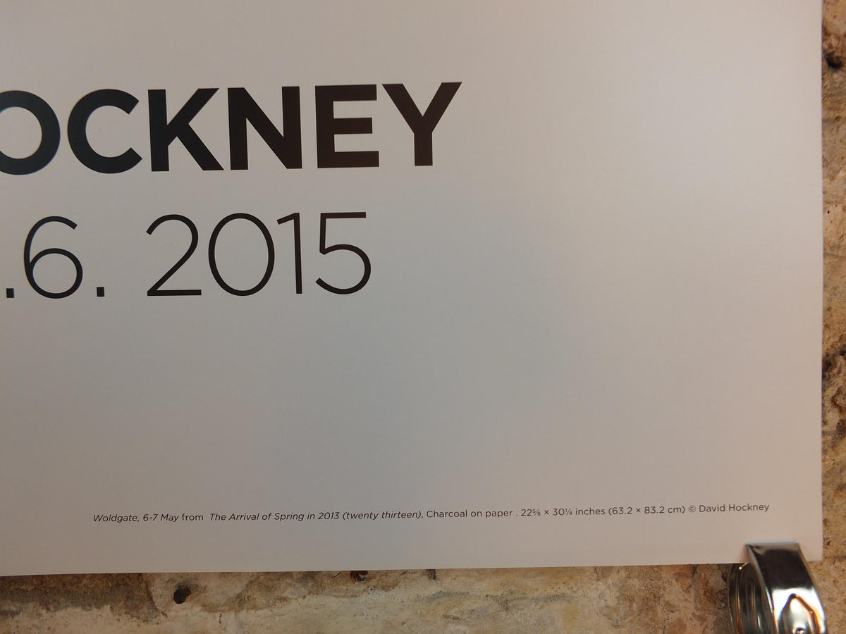 2015 David Hockney Poster, The Arrival of Spring in 2013, Louisiana Museum of Modern Art, Pop Art, gallery exhibition wall art decor