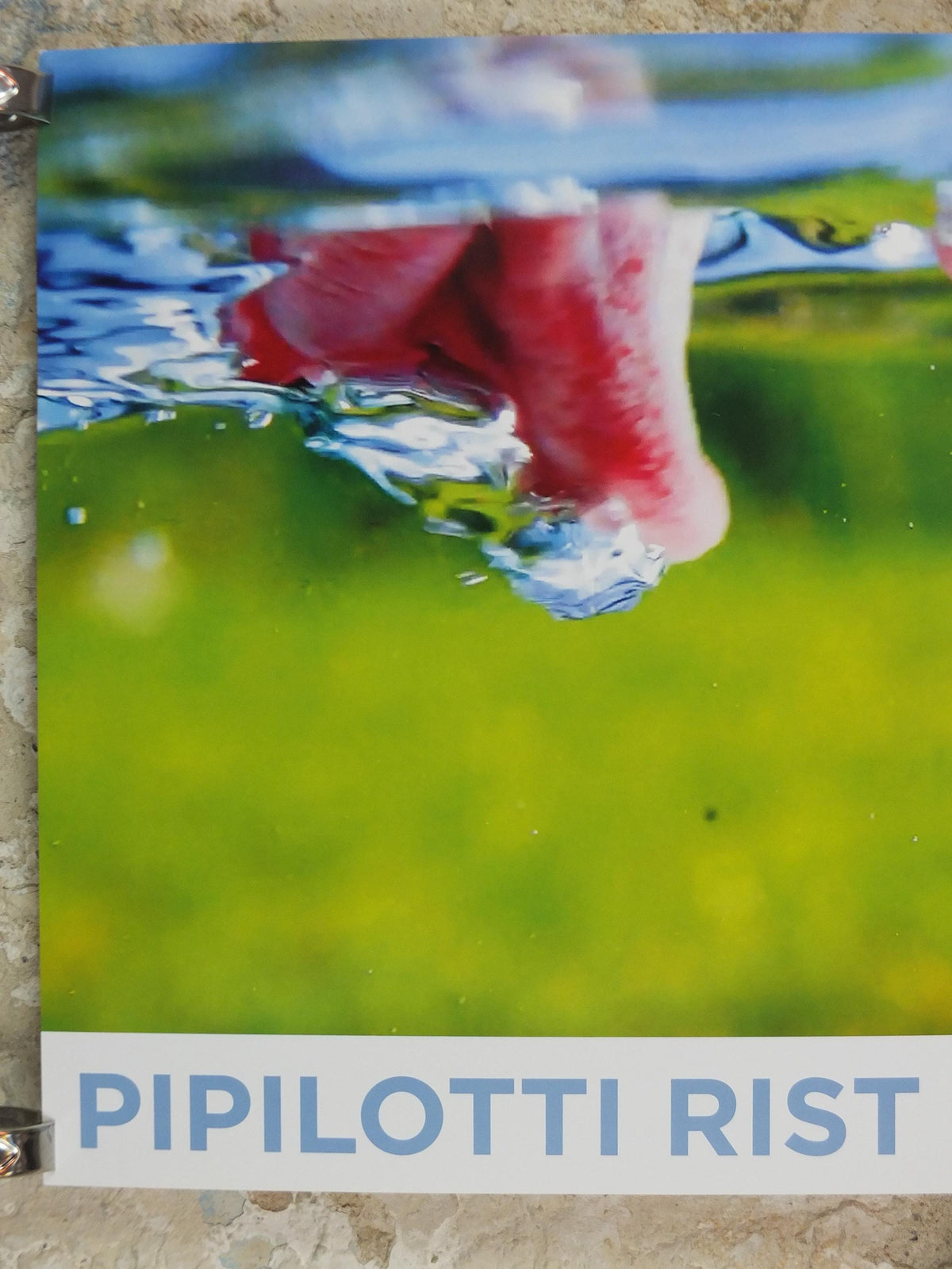 2019 Pipilotti Rist Poster, Mercy Garden Retour 2014, nose, lips and tongue, Feminist audiovisual art, gallery exhibition, wall art decor