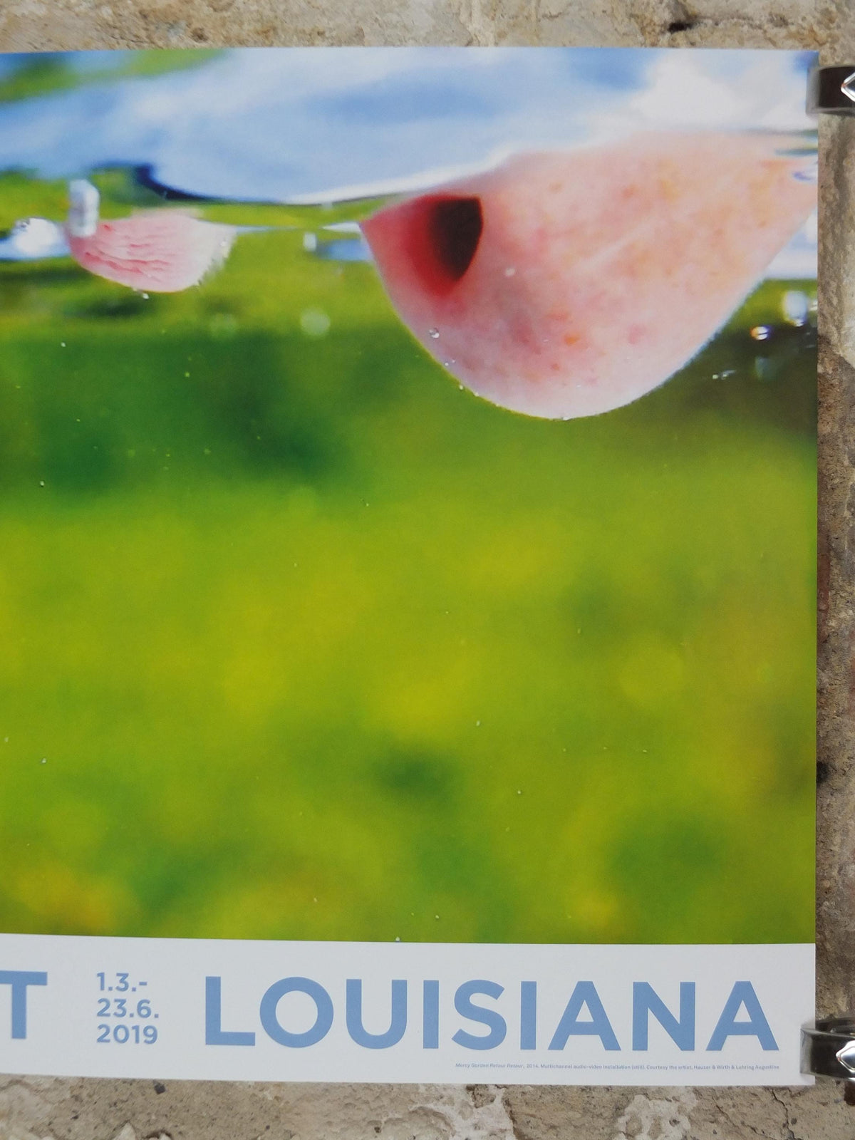 2019 Pipilotti Rist Poster, Mercy Garden Retour 2014, nose, lips and tongue, Feminist audiovisual art, gallery exhibition, wall art decor