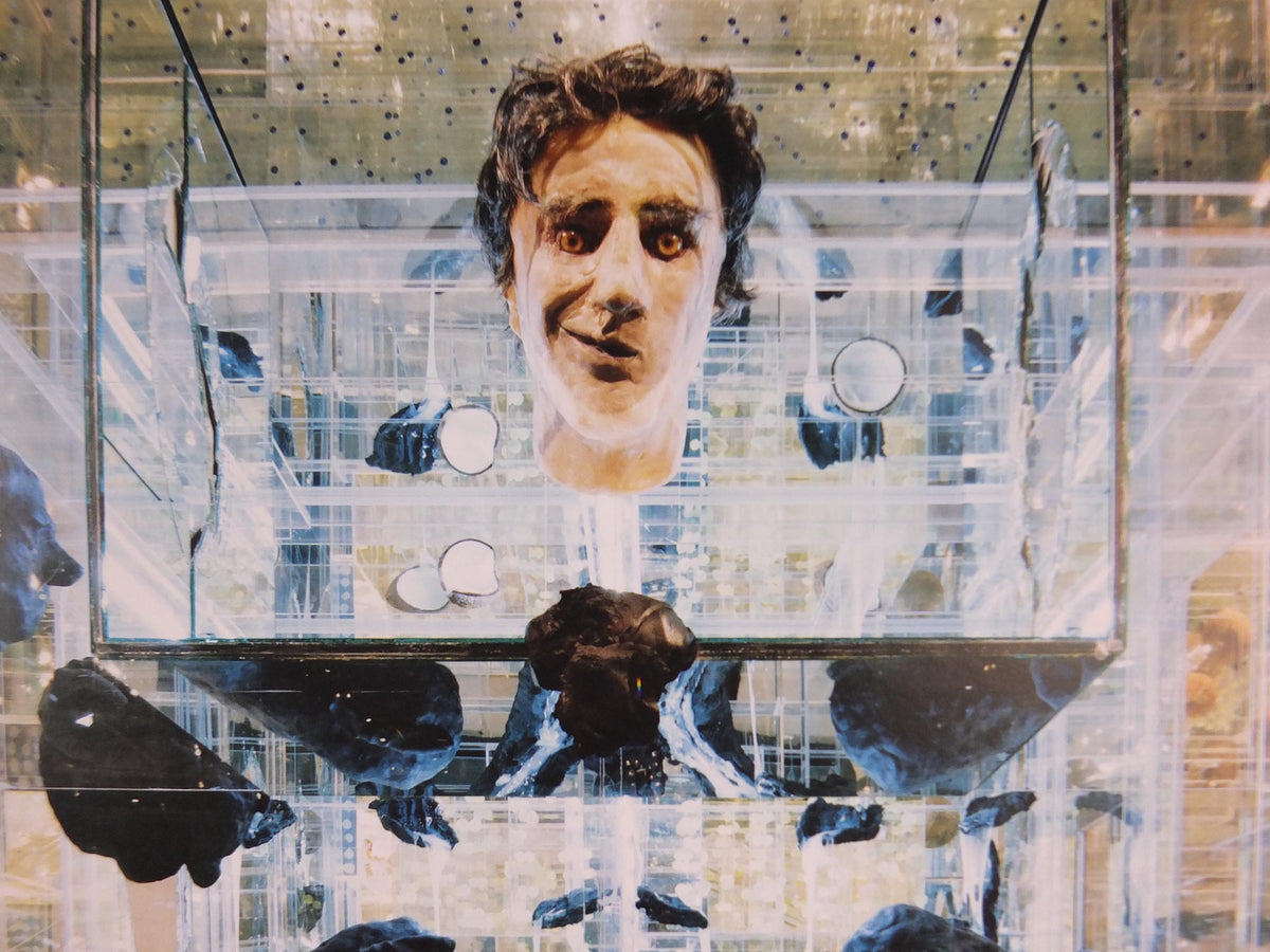 2015 David Altmejd Poster, The Flux and the Puddle 2014, Louisiana Museum of Modern Art, Sculpture, retro wall art decor