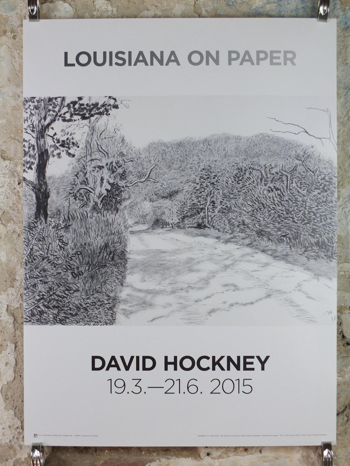 2015 David Hockney Poster, The Arrival of Spring in 2013, Louisiana Museum of Modern Art, Pop Art, gallery exhibition wall art decor