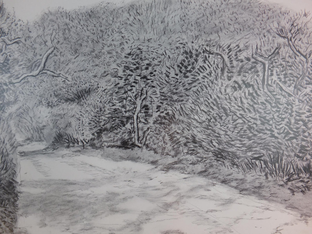 2015 David Hockney Poster, The Arrival of Spring in 2013, Louisiana Museum of Modern Art, Pop Art, gallery exhibition wall art decor