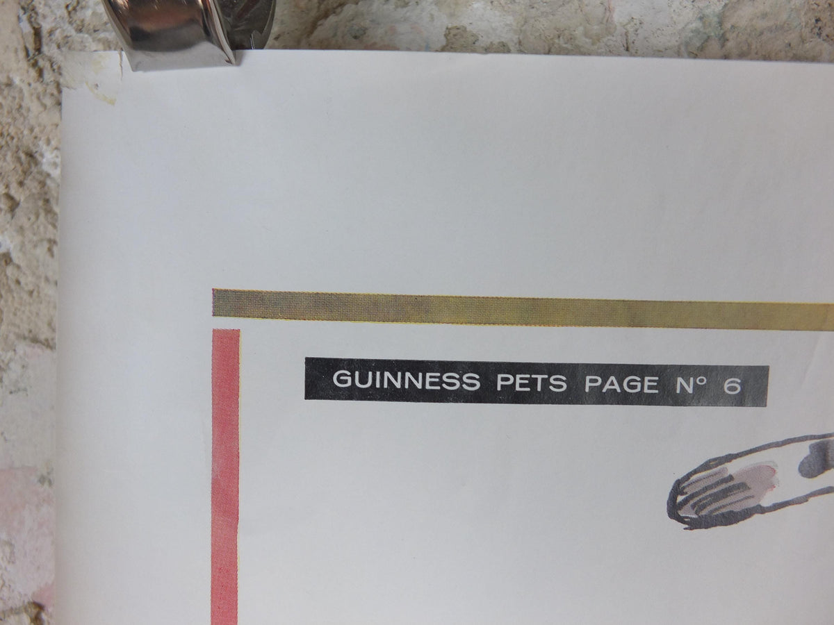 1961 Guinness Cat Poster, A Symposium of Cats, Guinness Pet Page, by Gerard Hoffnung, ale Irish stout beer advertising, wall art decor