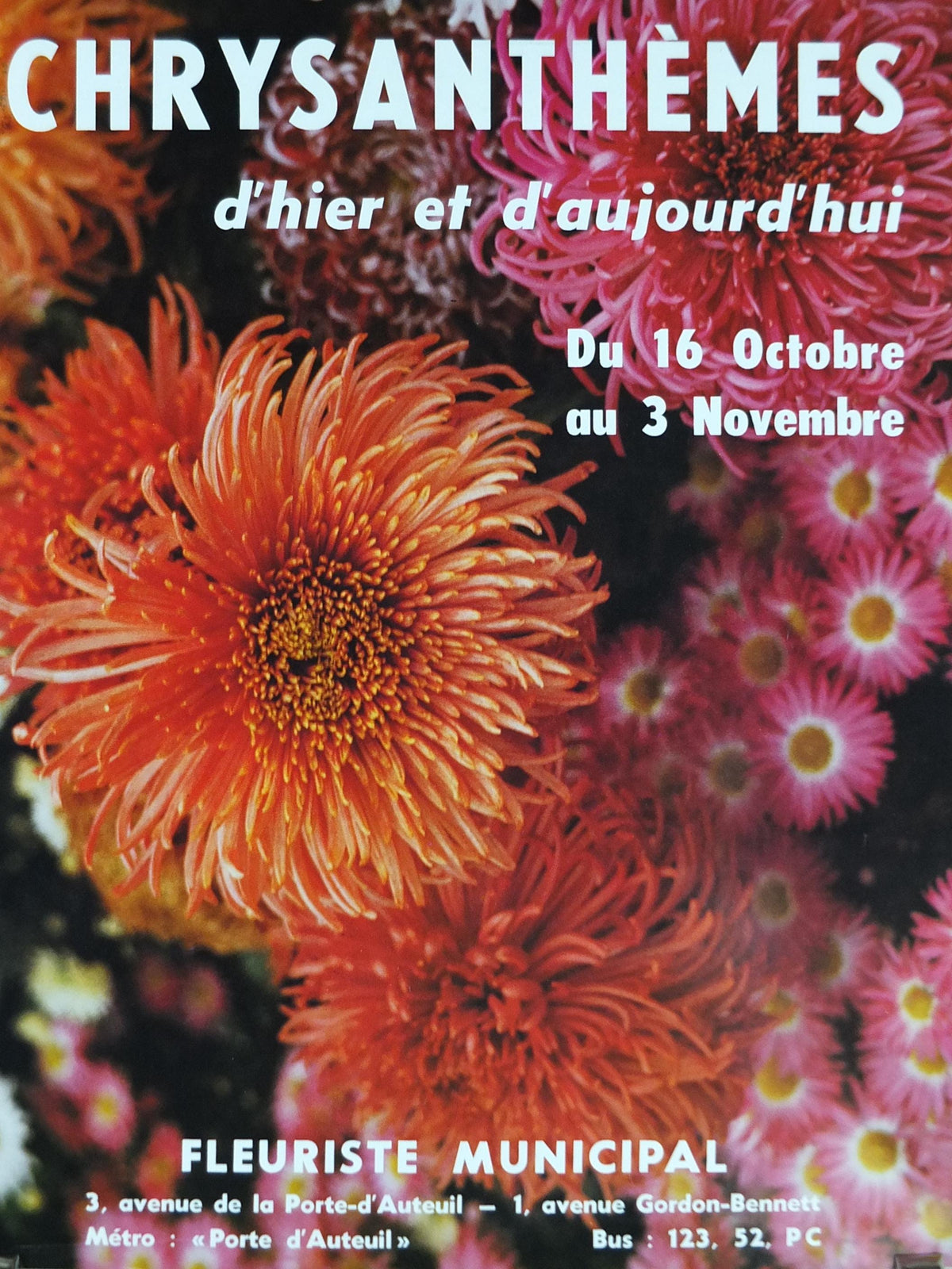 1980s Chrysanthemum Poster, Mairie de Paris Flower Show, 16th arrondissement of Paris, Garden botanical flora plants blooms, wall art decor