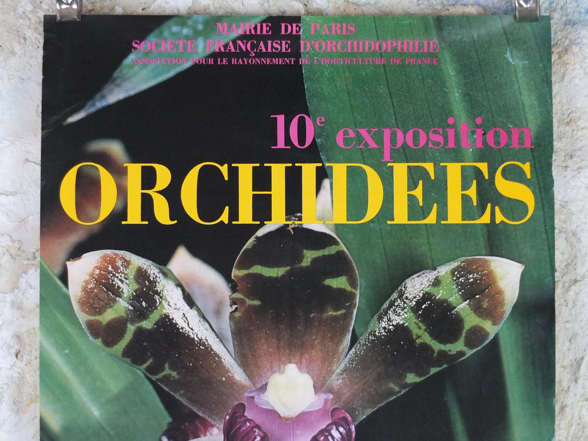 1980 Orchids Poster, Mairie de Paris Flower Show, Parc Floral de Paris, Garden botanical flora plants blooms, wall art decor