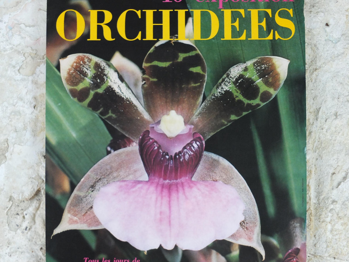 1980 Orchids Poster, Mairie de Paris Flower Show, Parc Floral de Paris, Garden botanical flora plants blooms, wall art decor