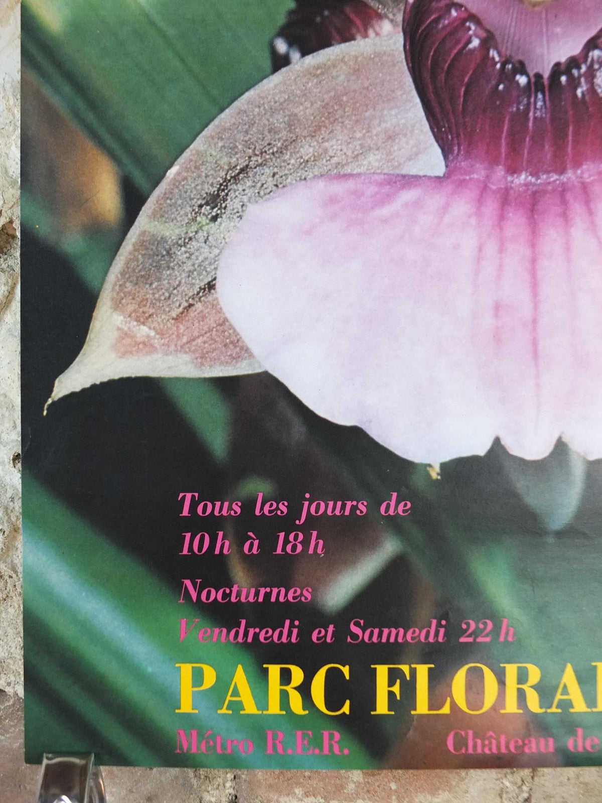 1980 Orchids Poster, Mairie de Paris Flower Show, Parc Floral de Paris, Garden botanical flora plants blooms, wall art decor