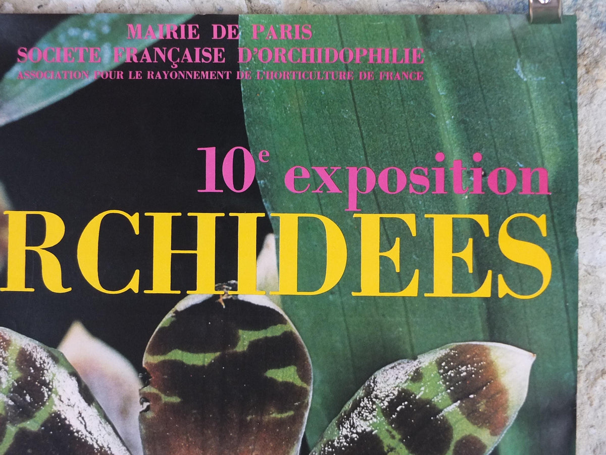 1980 Orchids Poster, Mairie de Paris Flower Show, Parc Floral de Paris, Garden botanical flora plants blooms, wall art decor