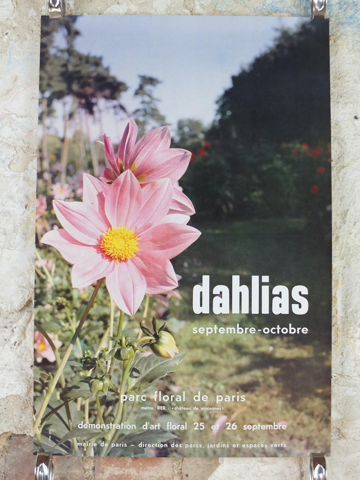 1980s Dahlias Poster, Mairie de Paris Flower Show, Parc Floral de Paris, Garden botanical flora plants blooms, wall art decor
