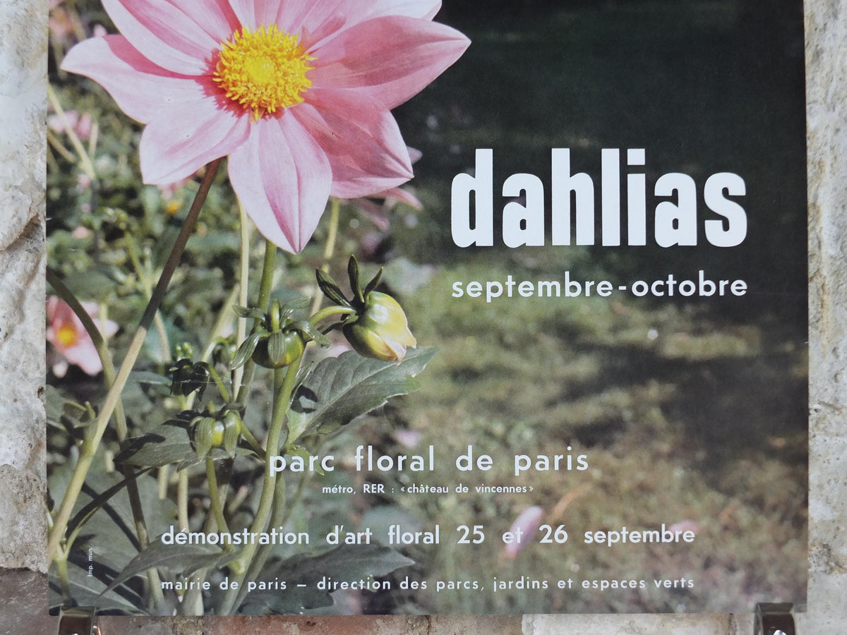 1980s Dahlias Poster, Mairie de Paris Flower Show, Parc Floral de Paris, Garden botanical flora plants blooms, wall art decor