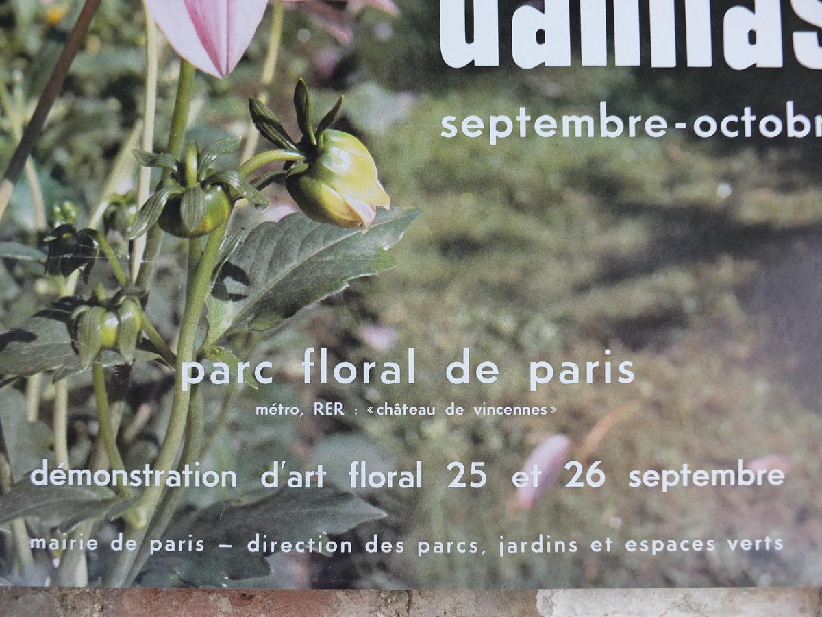 1980s Dahlias Poster, Mairie de Paris Flower Show, Parc Floral de Paris, Garden botanical flora plants blooms, wall art decor