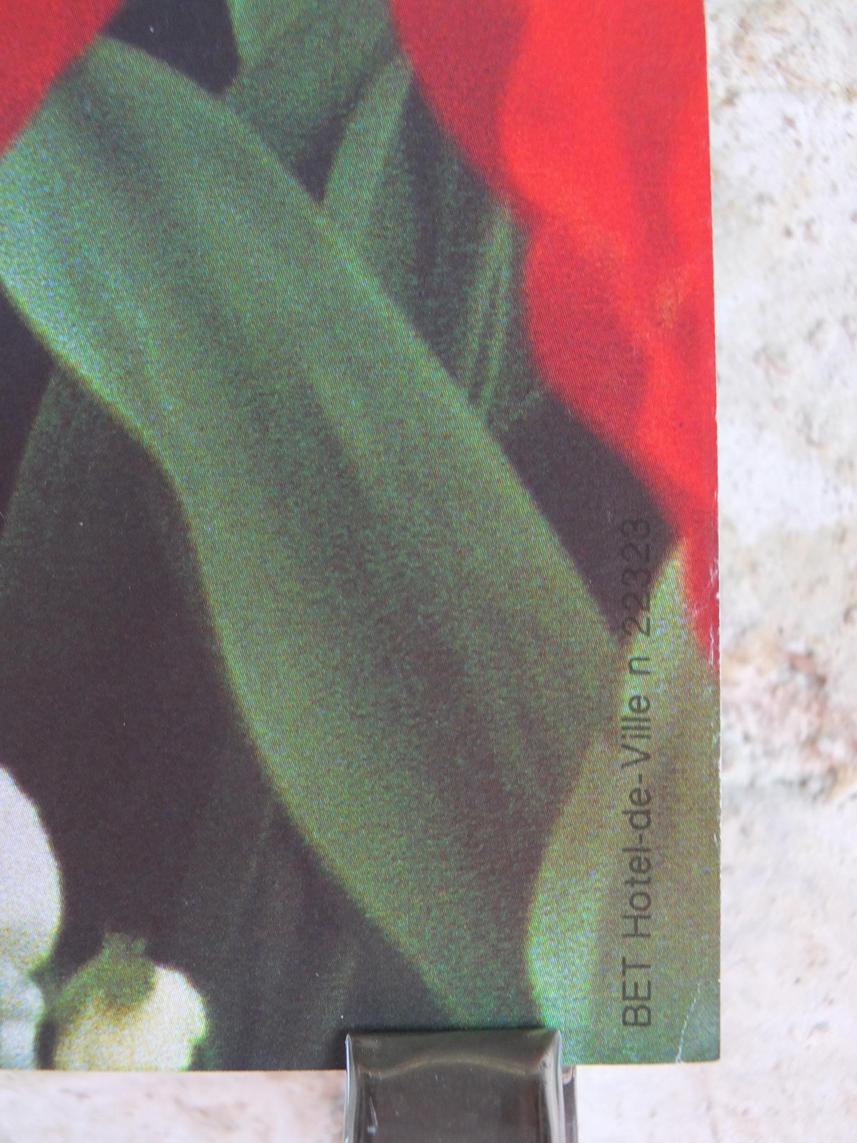 1980s Tulips Poster, Mairie de Paris spring Flower Show, Le Printemps dans vos Jardins Paris, Garden botanical flora blooms, wall art decor