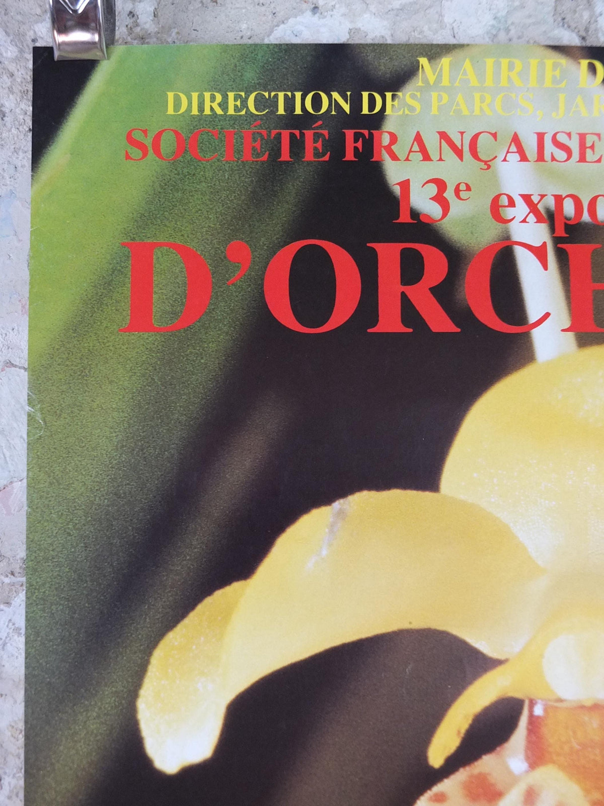 1983 Orchids Poster, Mairie de Paris Flower Show, Parc Floral de Paris, Garden botanical flora plants blooms, wall art decor