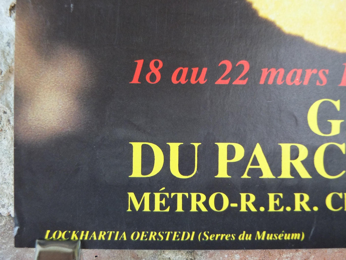 1983 Orchids Poster, Mairie de Paris Flower Show, Parc Floral de Paris, Garden botanical flora plants blooms, wall art decor