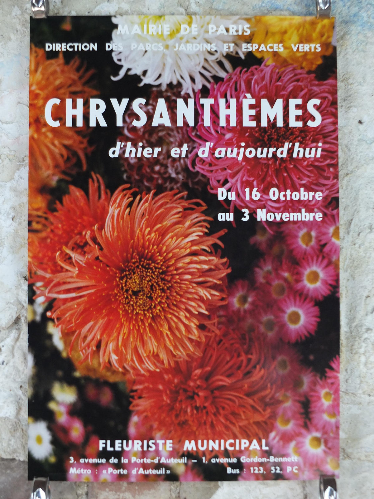 1980s Chrysanthemum Poster, Mairie de Paris Garden Show, 16th arrondissement of Paris, Garden botanical flora plants blooms, wall art decor