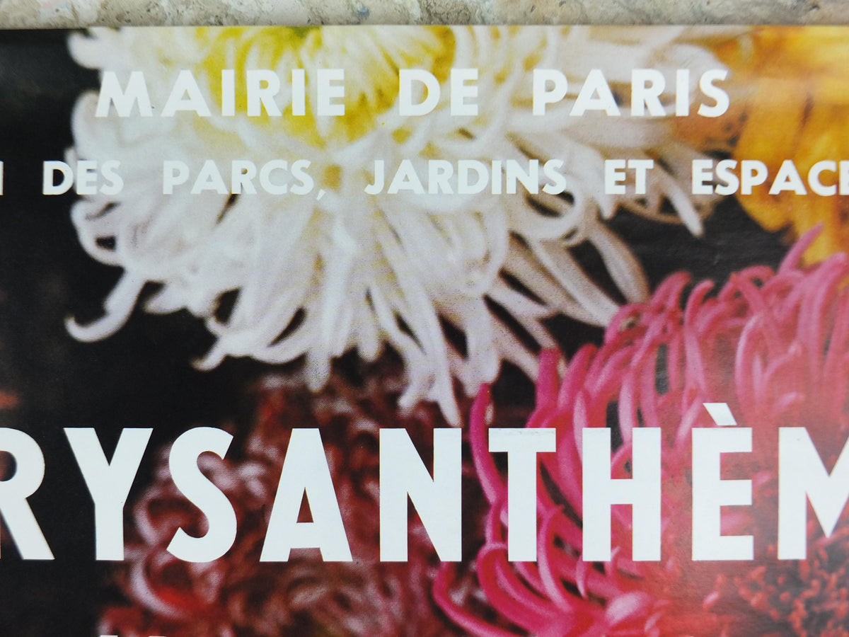 1980s Chrysanthemum Poster, Mairie de Paris Flower Show, 16th arrondissement of Paris, Garden botanical flora plants blooms, wall art decor