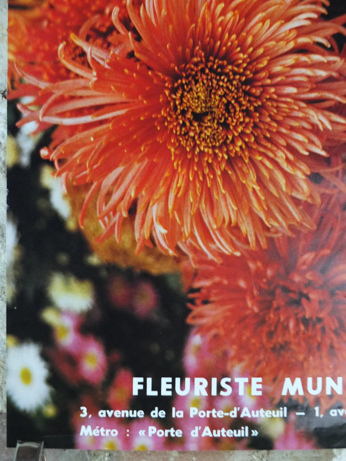 1980s Chrysanthemum Poster, Mairie de Paris Flower Show, 16th arrondissement of Paris, Garden botanical flora plants blooms, wall art decor